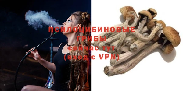 прущий лед Аркадак