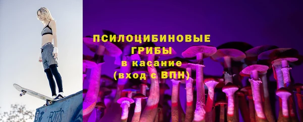 прущий лед Аркадак