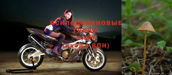 прущий лед Аркадак